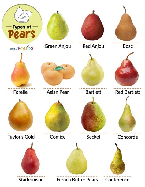 types of english pears.